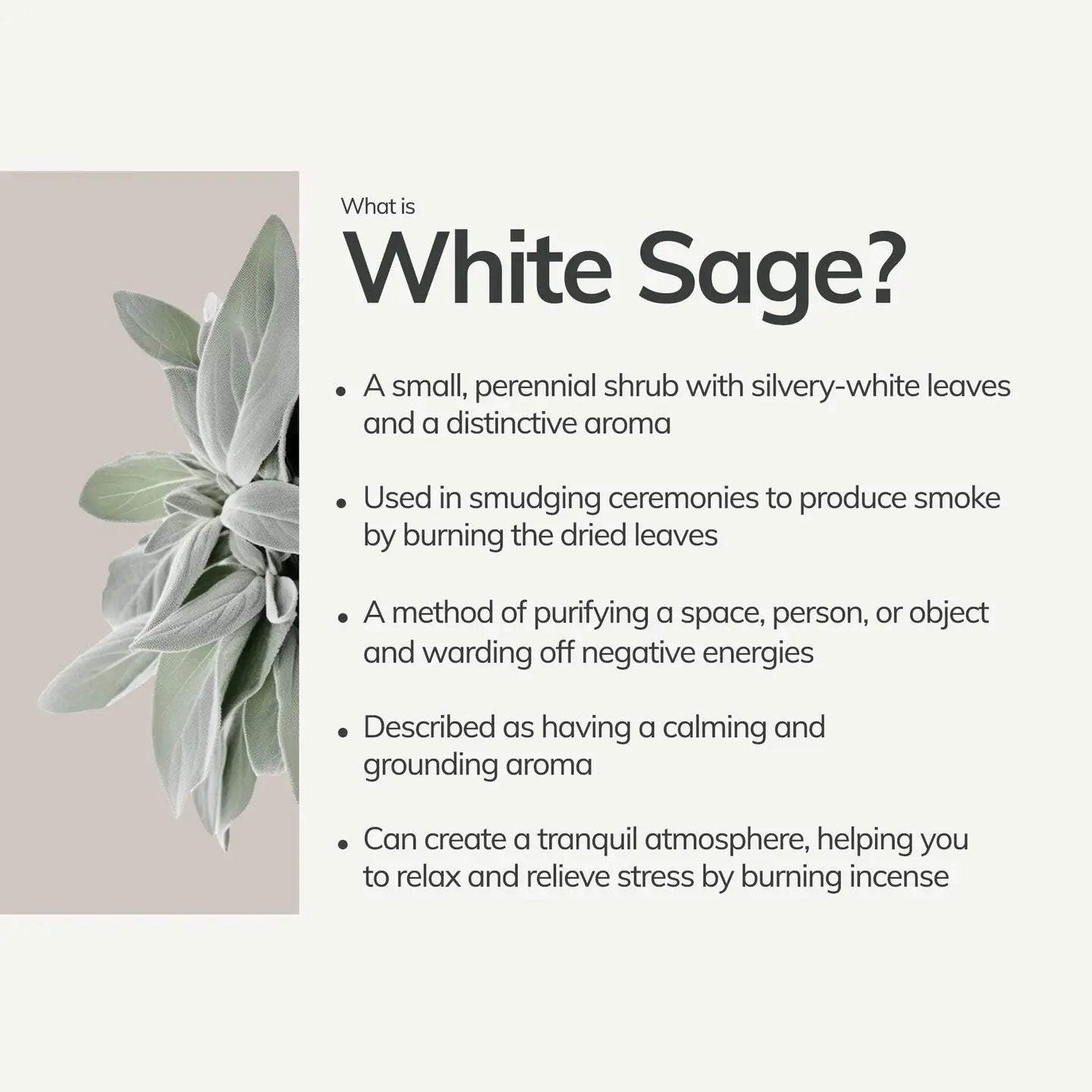 White Sage Incense Sticks