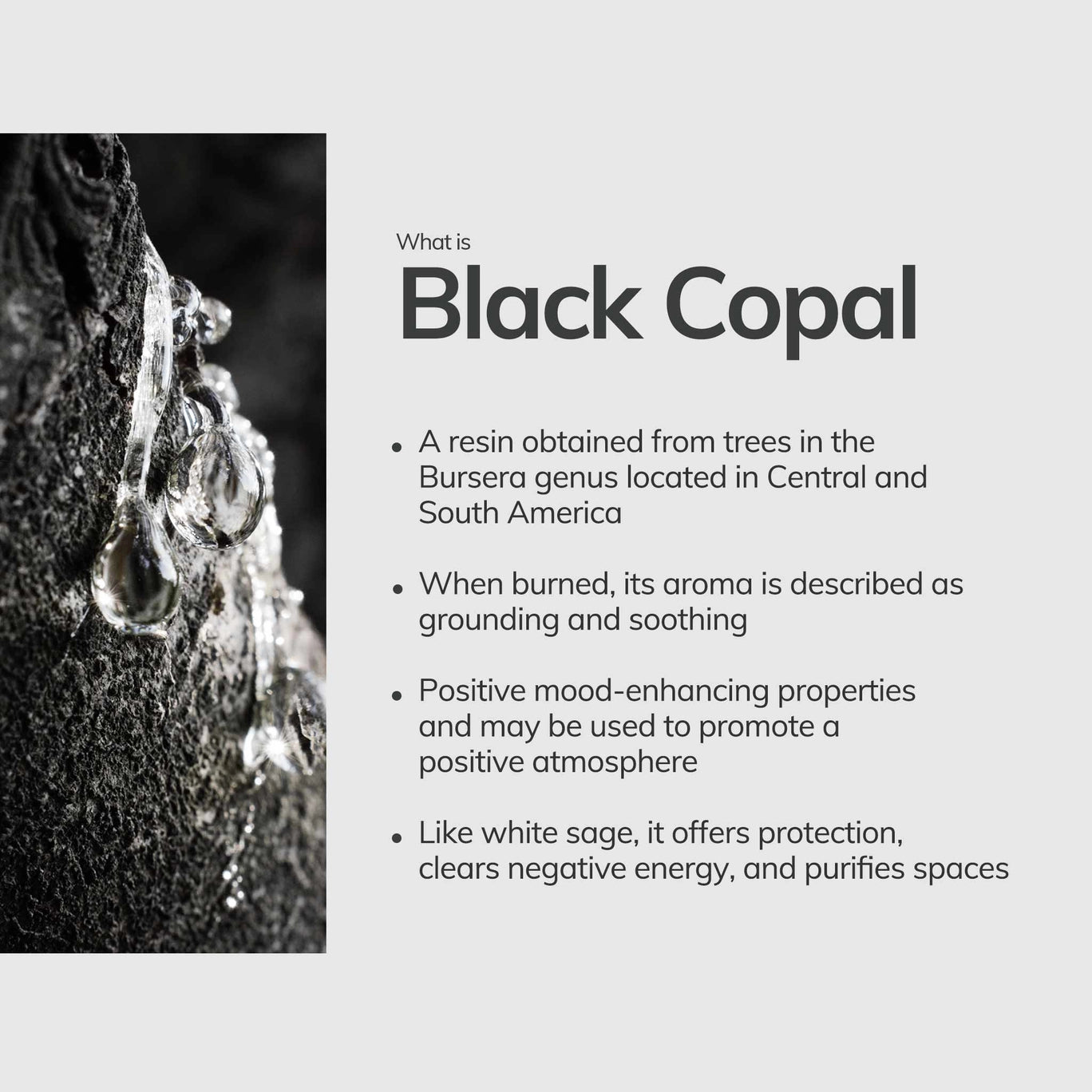 Black Copal Incense Sticks