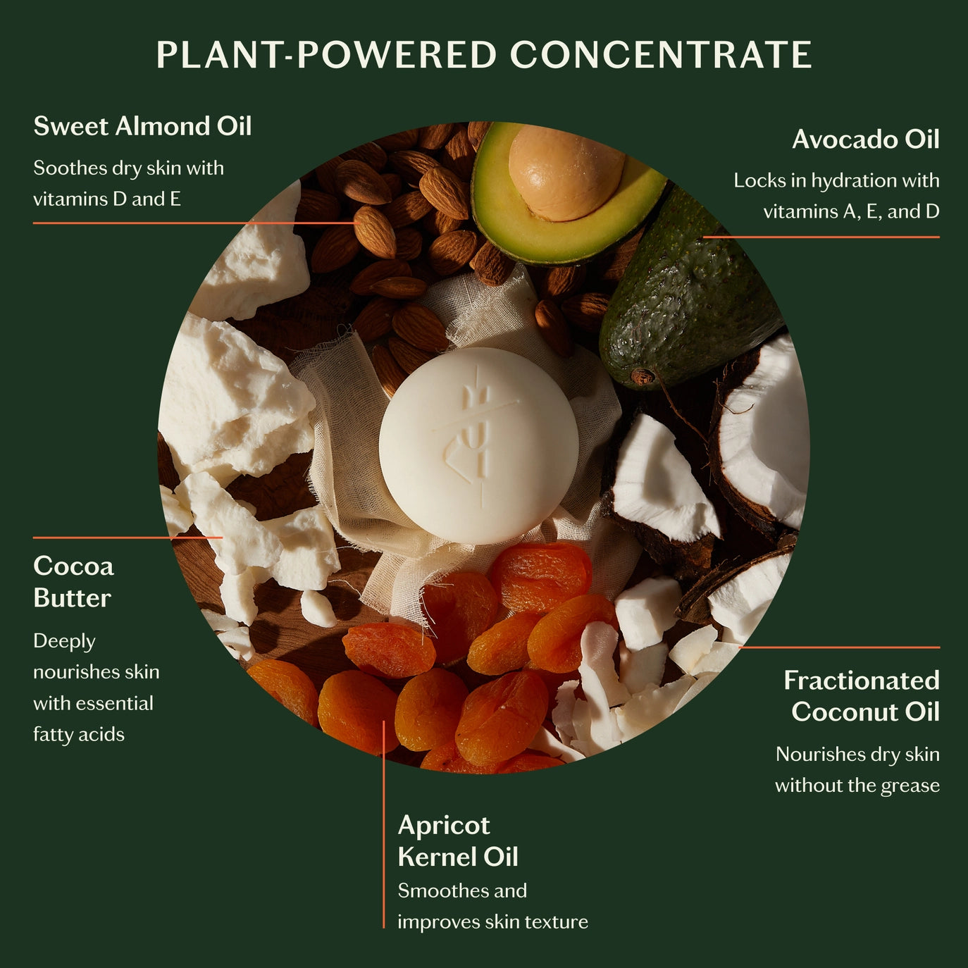 Nourishing ingredients with a white bar of soap in the center on a green background