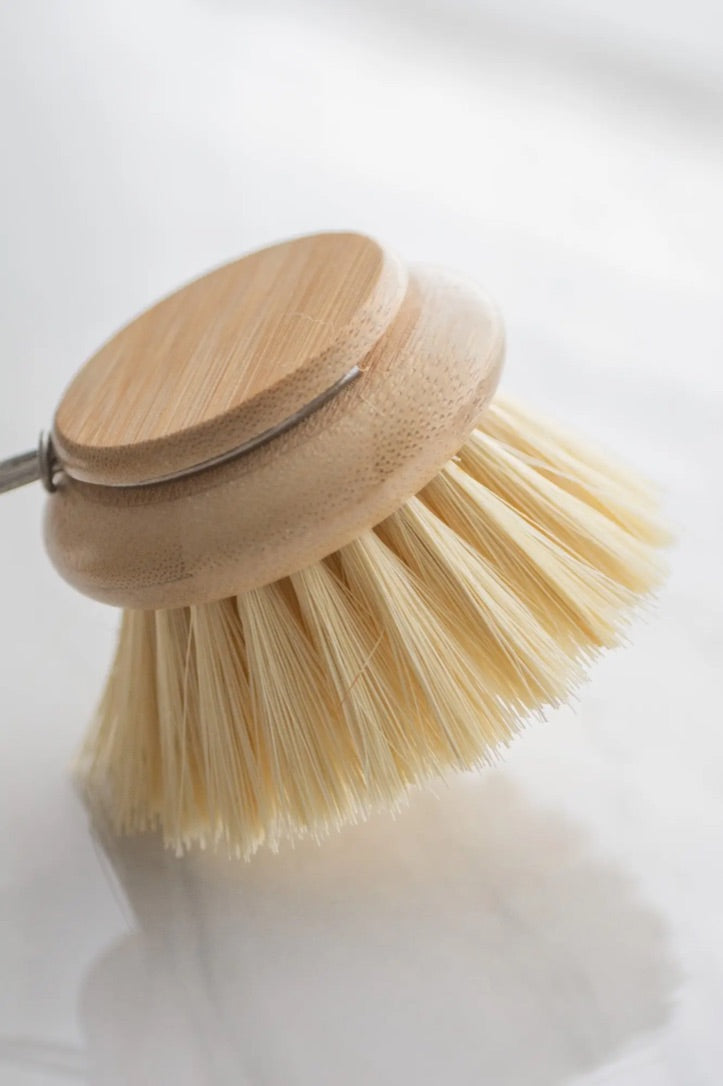 Replacement Head Only For Dish Brush