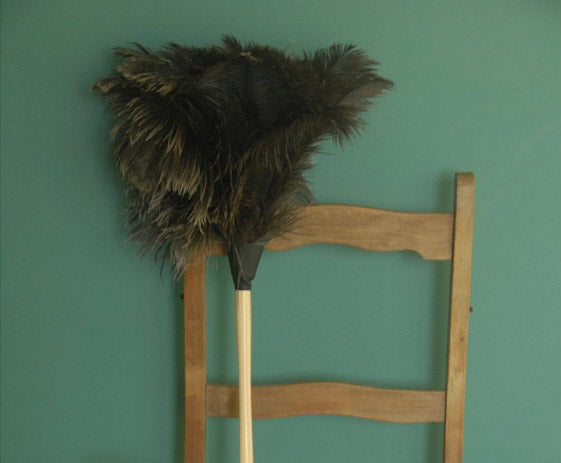Feather Duster