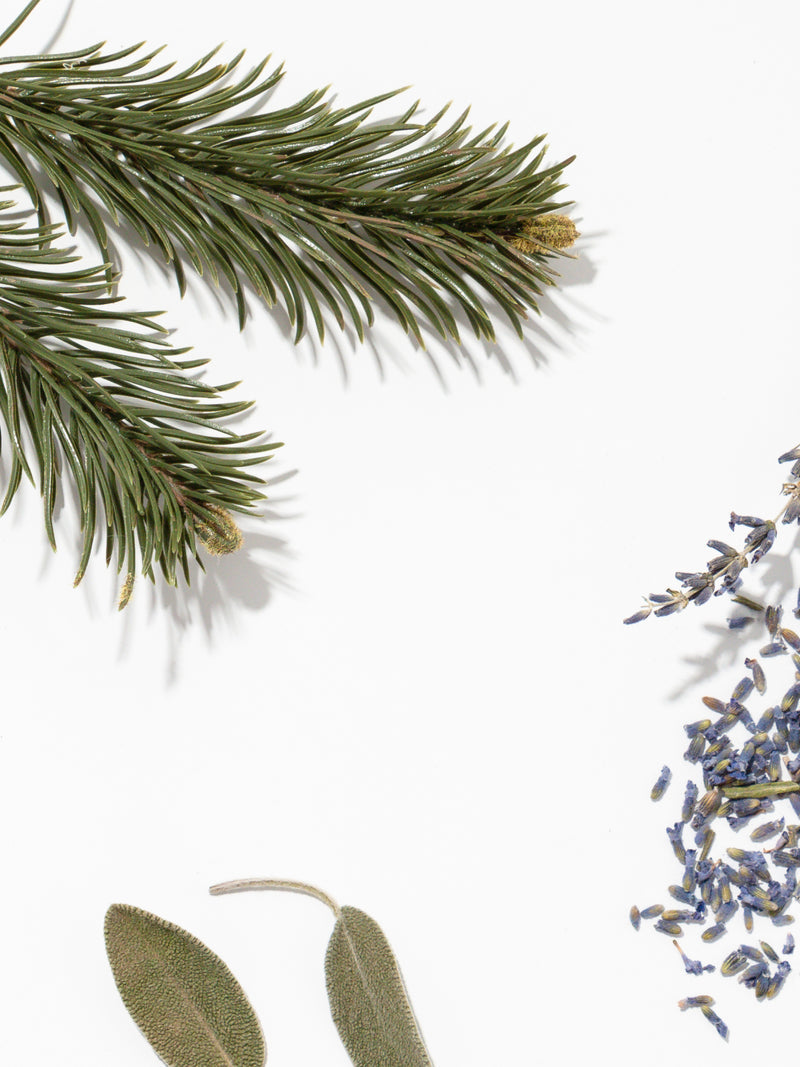 Fern + Moss Pura Fragrance Refill